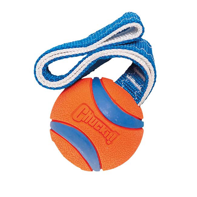 Chuckit Ultra Tug Ball mit Kordel