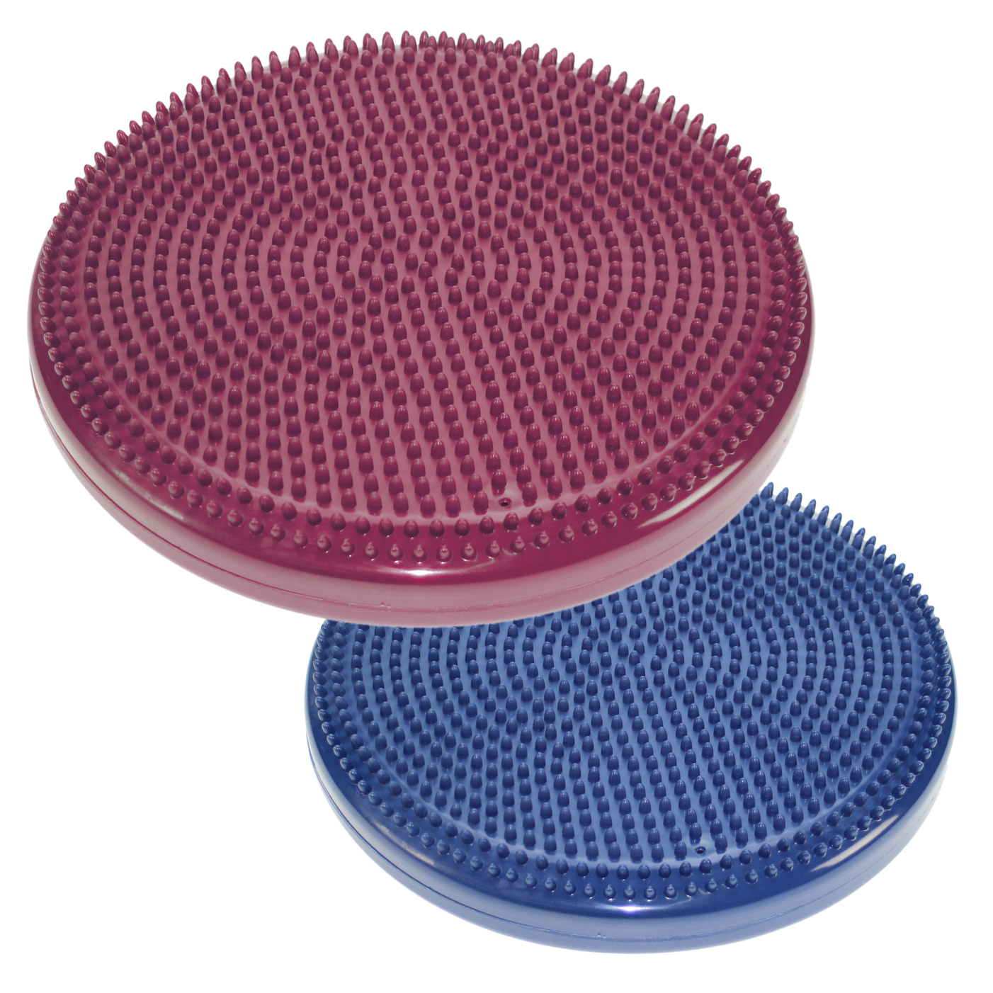 FitPAWS Balance Disc