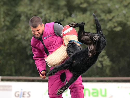 „Pink Panther“ sorgen für Aufmerksamkeit