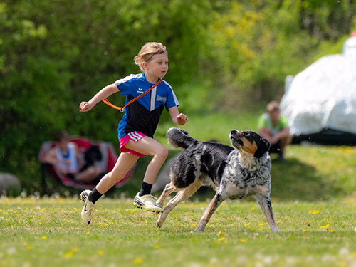 Jugendarbeit im Hundesport