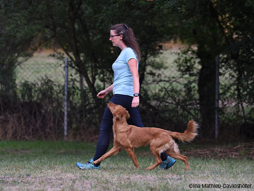 3. WM Qualifikation Obedience