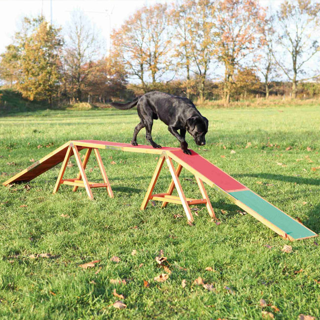 Agility Steg