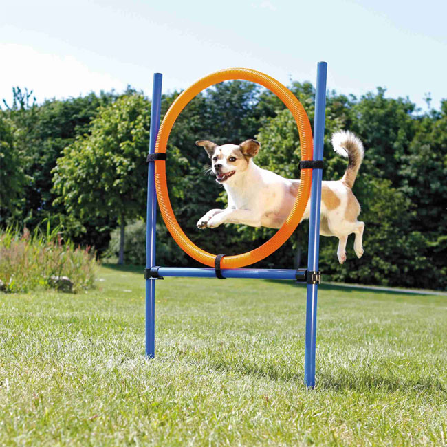 Agility Ring