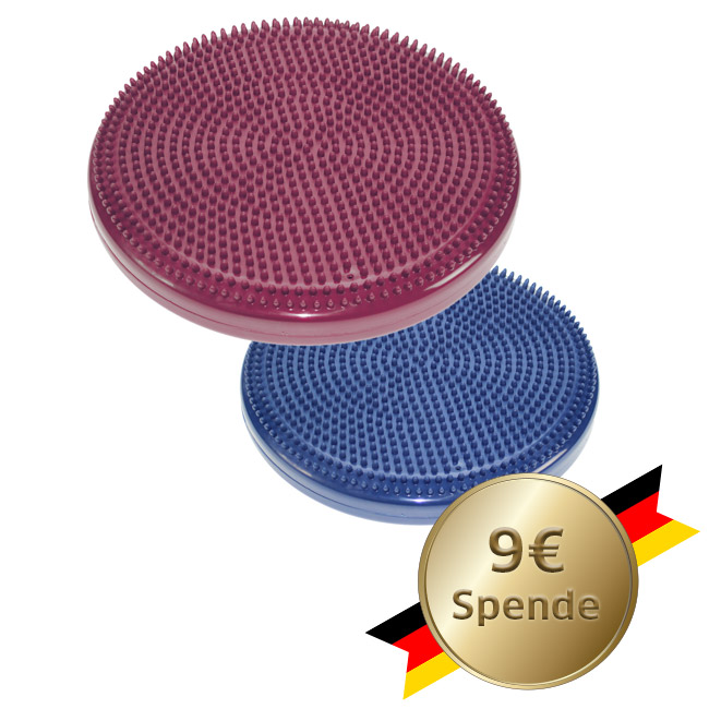 AGI WM: FitPAWS Balance Disc