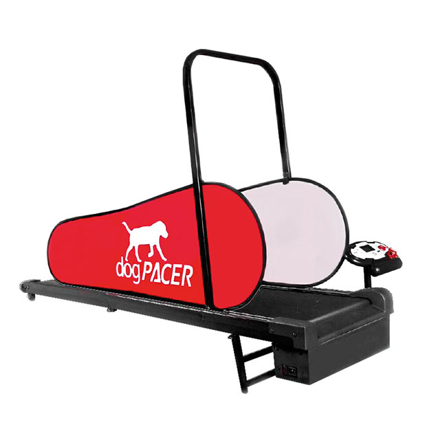 dogPACER LF 3.1 Hundelaufband