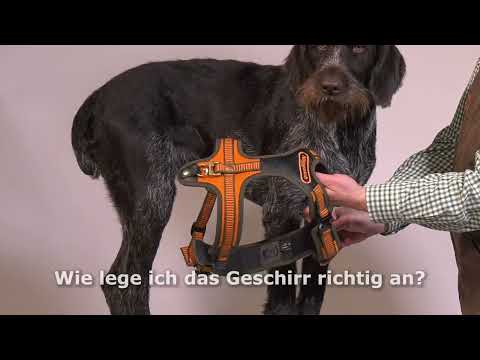 Niggeloh Geschirr Follow 2  XL Schwarz